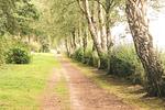 Ostseewellen II (Haushälfte) - Top-Hundeurlaub