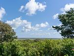 Beach Bungalow Sylt 1 - Top-Hundeurlaub