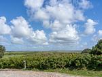 Beach Bungalow Sylt 1 - Top-Hundeurlaub