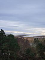 Landschaft - Ferienwohnung FW7/39 - Top-Hundeurlaub