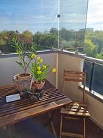 Balkon - Ferienwohnung FW7/39 - Top-Hundeurlaub