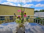 Balkon - Ferienwohnung mit 1 Schlafzimmer, Kamin und Balkon (DR/423) - Top-Hundeurlaub