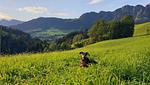  Sonniges freistehendes Ferienhaus Ewerk in Alpbach (nähe Bach und Wald)  - Top-Hundeurlaub