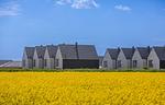 Landschaft - Ferienhaus Gersten-Koje Büsum - Top-Hundeurlaub