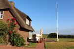 LITZKOW 10504 - Top-Hundeurlaub