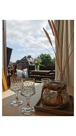 LITZKOW 11003 - Top-Hundeurlaub