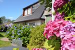 LITZKOW 11801 - Top-Hundeurlaub