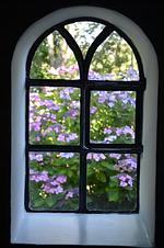 Dekoratives Detail - LITZKOW 16903 - Top-Hundeurlaub