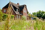 Gartenblick - LITZKOW 14203 - Top-Hundeurlaub