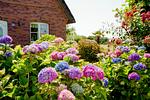 Garten - LITZKOW 14203 - Top-Hundeurlaub