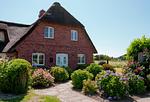 Hauptansicht - LITZKOW 14203 - Top-Hundeurlaub