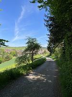 Kleine Idylle im Nordschwarzwald - Top-Hundeurlaub