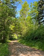 Kleine Idylle im Nordschwarzwald - Top-Hundeurlaub