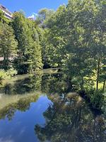 Kleine Idylle im Nordschwarzwald - Top-Hundeurlaub