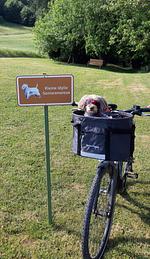 Kleine Idylle im Nordschwarzwald - Top-Hundeurlaub