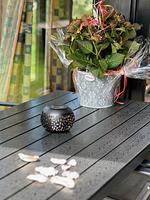 Grommy´s Zwei Eckwarden - Top-Hundeurlaub