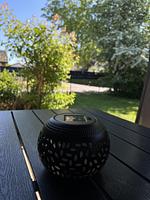 Grommy´s Zwei Eckwarden - Top-Hundeurlaub