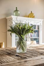 Reethaus Hoheleuchte - Top-Hundeurlaub