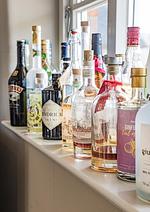 Reethaus Hoheleuchte - Top-Hundeurlaub