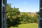 LITZKOW 13301 - Top-Hundeurlaub