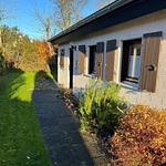 Hauptansicht - Ferienhaus "Lütt Hüs" - Top-Hundeurlaub