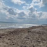 Strand - Ferienhaus "Lütt Hüs" - Top-Hundeurlaub