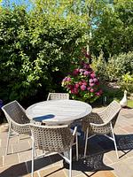 Terrasse - Erich-Johannsen-Wai 7 - Top-Hundeurlaub