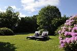 Garten - Süderstraße 11 - Top-Hundeurlaub