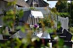 Terrasse - Süderstraße 20 - Top-Hundeurlaub