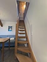 Ferienwohnung 03 Affenbande - Top-Hundeurlaub