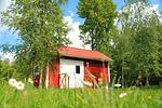 Rotes Sommerhaus in Schweden (Haus 3) - Top-Hundeurlaub