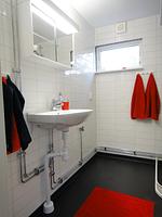 Rotes Sommerhaus in Schweden (Haus 3) - Top-Hundeurlaub