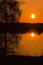 Rotes Sommerhaus in Schweden (Haus 3) - Top-Hundeurlaub