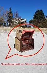 Dekoratives Detail - 1-7 - Top-Hundeurlaub
