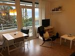 Wohnzimmer - 5-17 - Top-Hundeurlaub