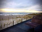 Strand - 5-17 - Top-Hundeurlaub