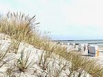 Strand - Beach House Am Kai - Top-Hundeurlaub