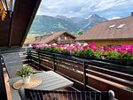 Loftwohnung Hohes Licht mit Hallenbad und Sauna - Top-Hundeurlaub
