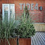 TIDE4 Amrum No. 1 - schickes Apartment mit eigener Terrasse, 100m zum Meer - Top-Hundeurlaub