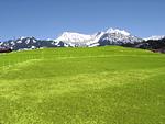 2-Raum-Wohnung Bergblick - Top-Hundeurlaub