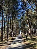 TIDE4 Amrum No. 7 - Apartment mit Kamin 100m zum Meer  - Top-Hundeurlaub
