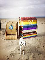 TIDE4 Amrum No. 2 - eigene Terrasse mit Strandkorb, 100m zum Meer - Top-Hundeurlaub