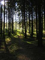 Traum-Ferienhaus Nr. 4 am See (Haus 4) - Top-Hundeurlaub