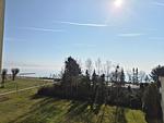 1-34 - Top-Hundeurlaub