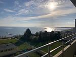 Meerblick - 2-67 - Top-Hundeurlaub