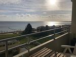 Meerblick - 2-67 - Top-Hundeurlaub