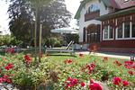Garten - Villa Boddenwacht - Top-Hundeurlaub