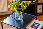 Dekoratives Detail - Wohnung 4 - Top-Hundeurlaub