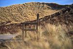 Landschaft - App 48,(Hund) - Top-Hundeurlaub