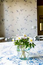 Blaues Sommerhaus in Schweden (Haus 2) - Top-Hundeurlaub